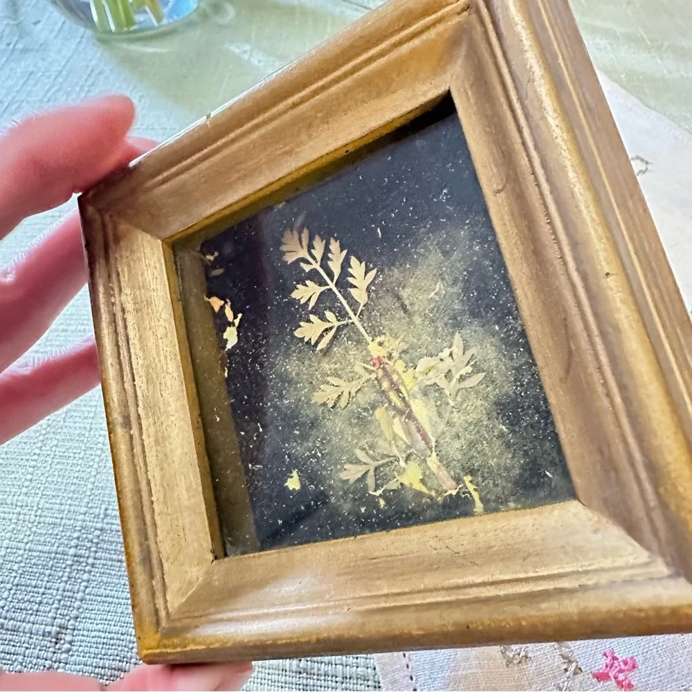 Vintage Botanical Shadow Box Frame – Gold Wood, 4.5” Square - Picture 4 of 8